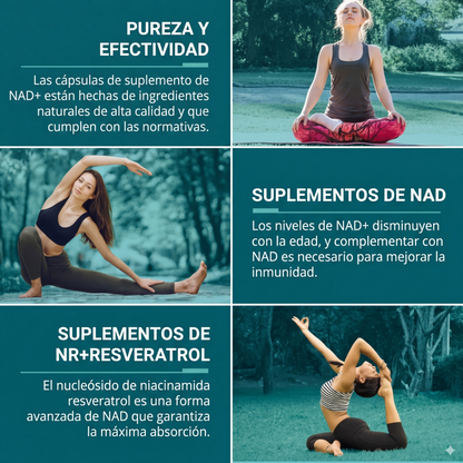 Nuevo Herbal®: El secreto para recuperar tu energía y juventud celular en tiempo récord